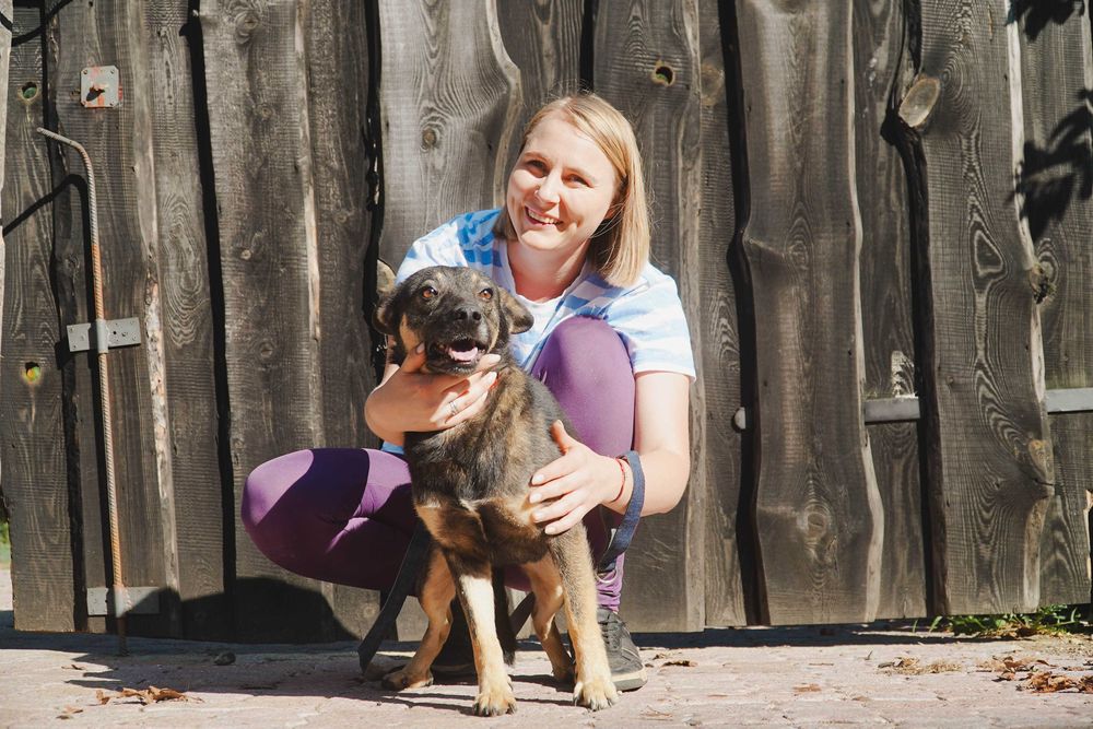 Kefir - niewielki piesek