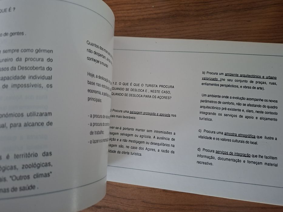 A Ilha do Pico e a Paisagem dos Muros Negros