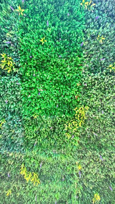 Jardim Vertical 3,0m x 2,5m, ótimo estado