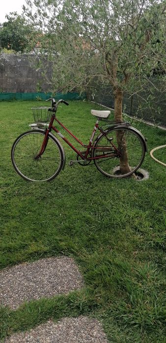 Bicicleta pasteleira