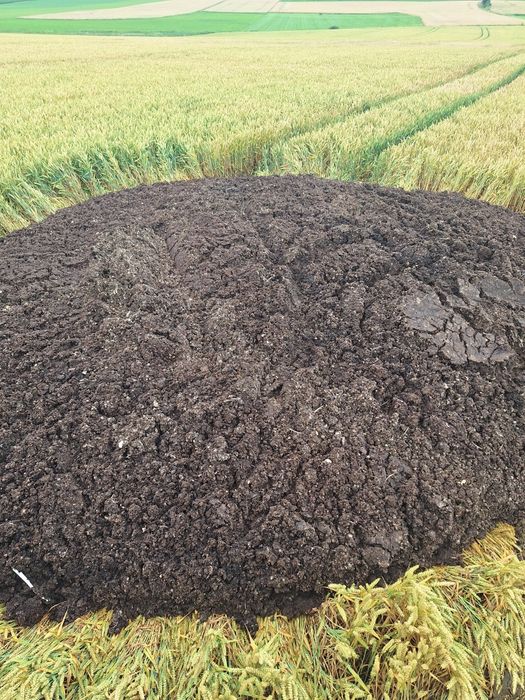 Pomiot kurzy, kurzak, obornik, nawóz organiczny, bobek bez słomy