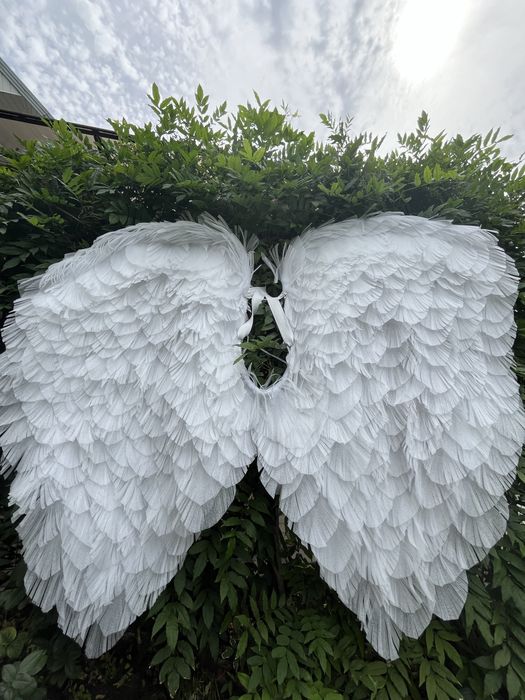 Крылья ангела