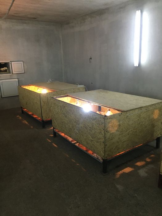 Продається багатофункціональне фермерське приміщення
