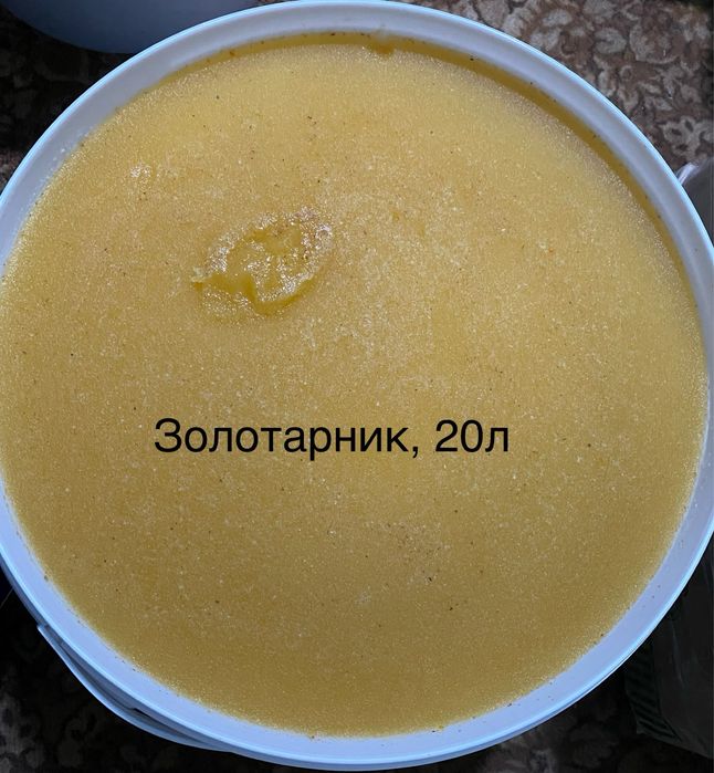 Мед 2026 р. Різнотравʼя,золотарник,пилок