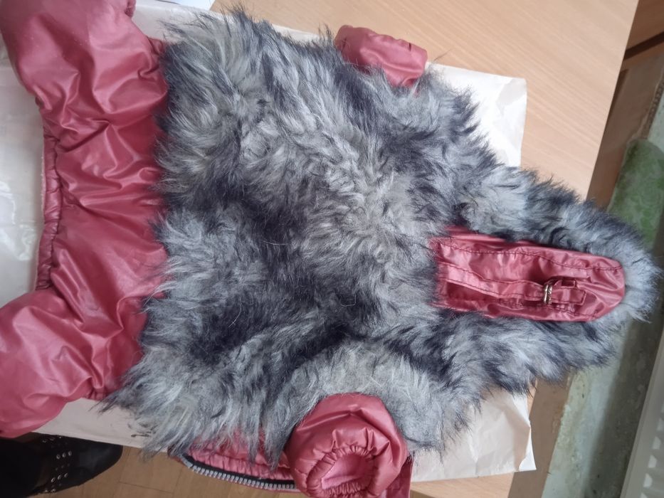 Продам зимний комбинезон для чиа-хуа