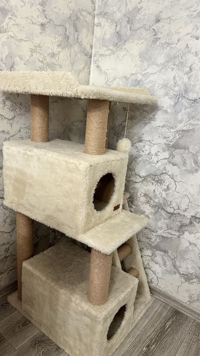Кошачій булиночок. Когтіточка
