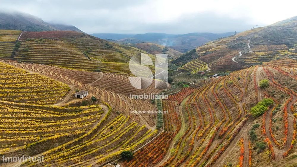 Terreno em Murça