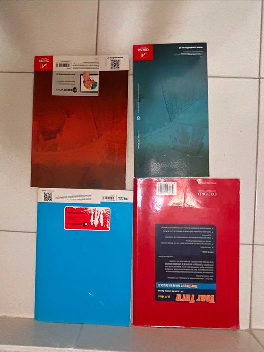 Cadernos de atividades 8º Ano - Diversas disciplinas