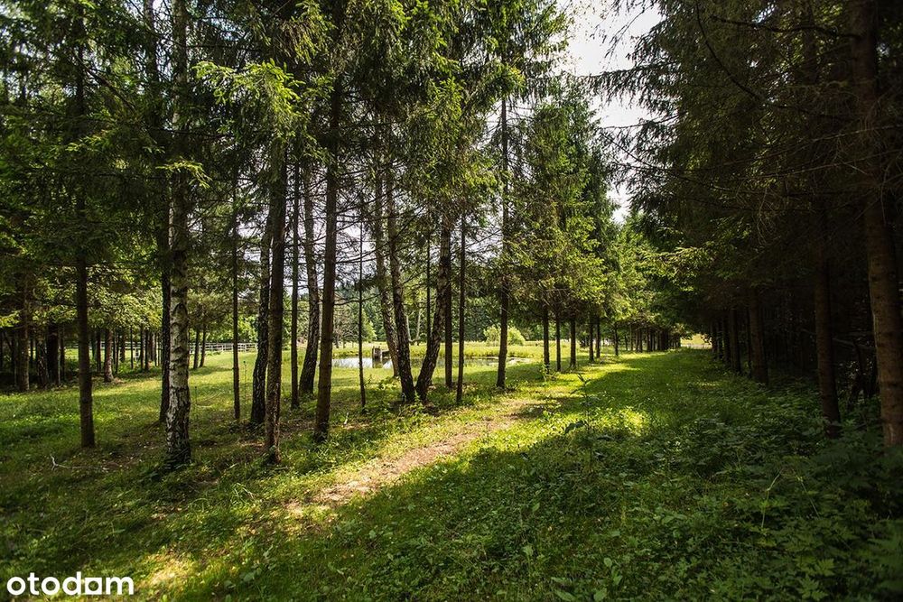 Posiadłość w Bieszczadch / 6 ha/ Dom, stajnia, stawy/ 4 305 000