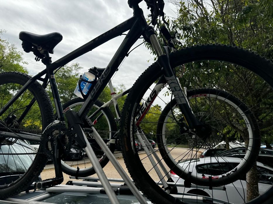 Bicicletas roda 29