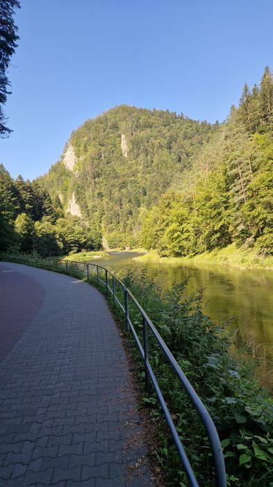 Frrie w górach. .Pokoje z widokami w górach.