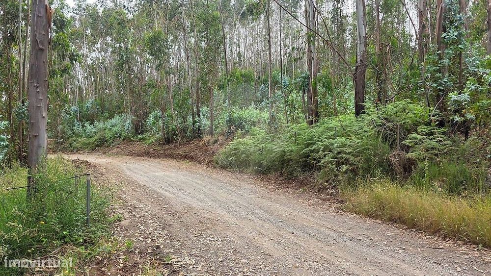 Terreno  para venda