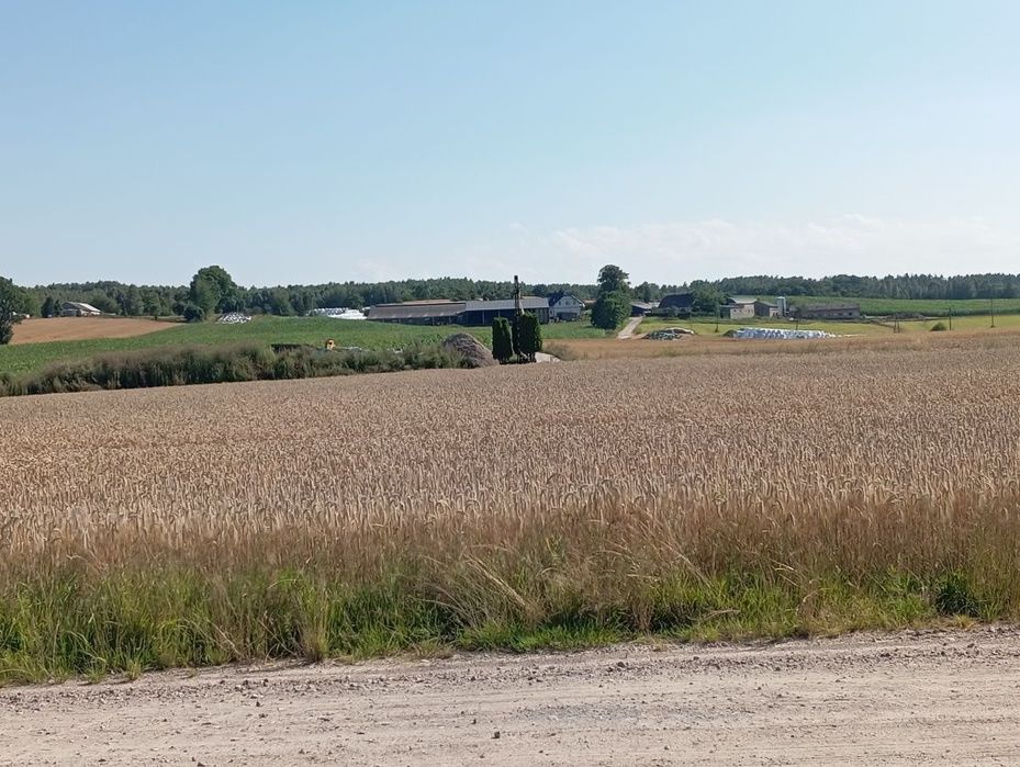 Działka Siedlisko Działka siedliskowa
