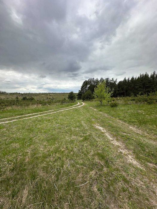 Ділянка 36,65 соток біля Києва під інвестицію або будинок. Личанка.