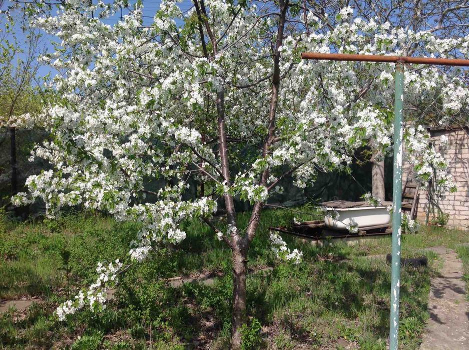 продаю дачу возле Кирьяковки за Сливино  кооператив Красные маки