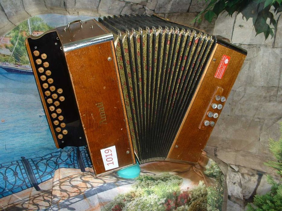 Promoção de Acordeões de concertinas