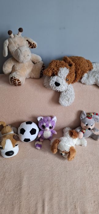 Zestaw zabawek pluszowych misie komplet w całości .