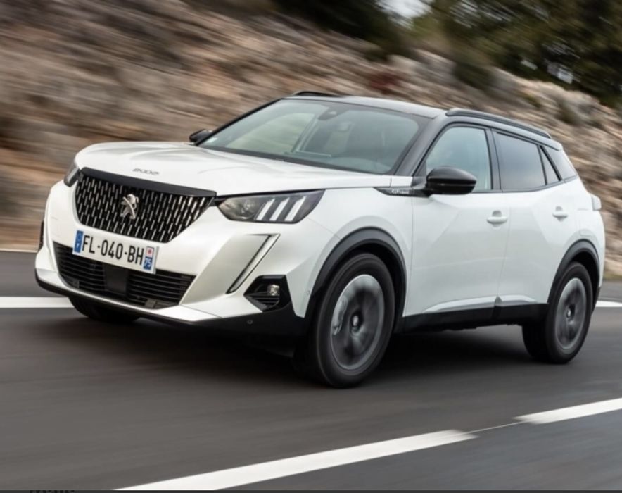 Tapetes NOVOS peugeot 2008