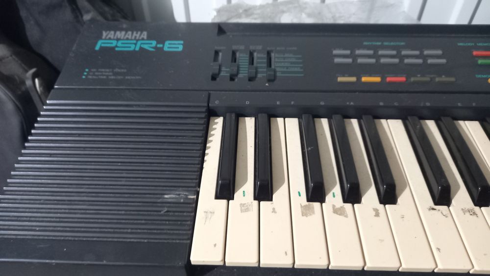 Orgão Yamaha PSR-6