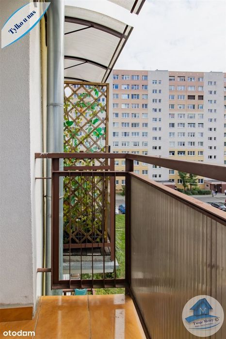 Jasne, 3-pokojowe z balkonem