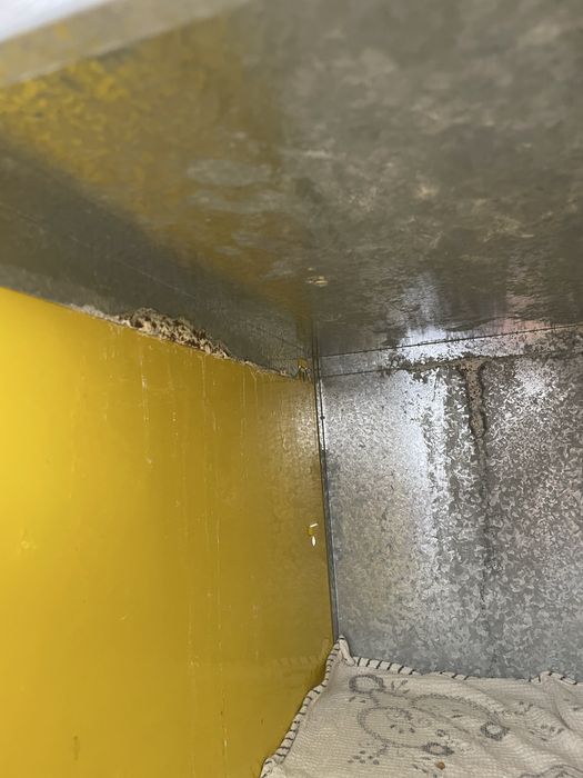 Cacifo   amarelo