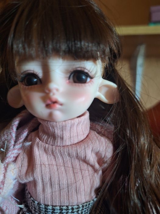 Куклы  BJD 1/6 и Blyth .