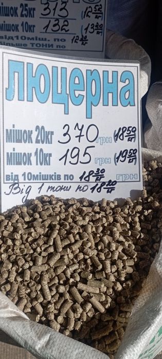 Люцерна гранульована.