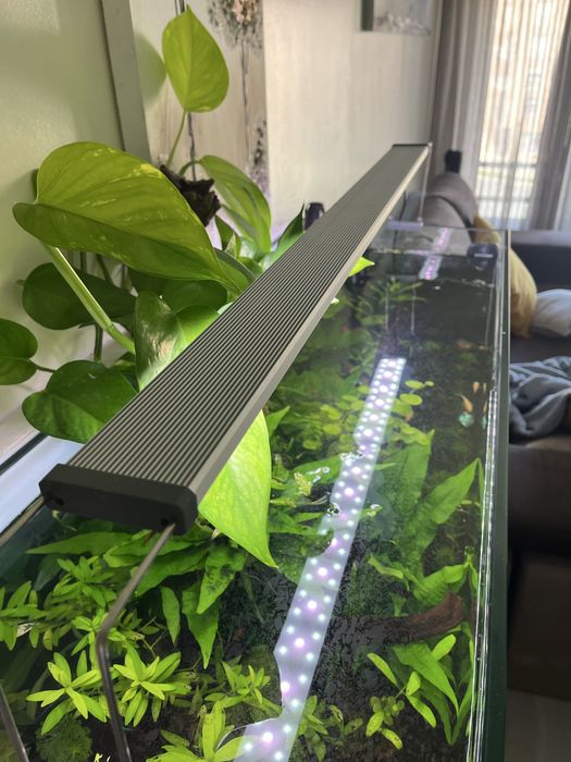 Aquário Plantado 200L - Fluval FX4 | Chihiros | Tropica