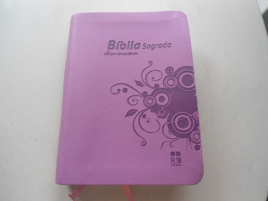 Bíblia Sagrada com concordância