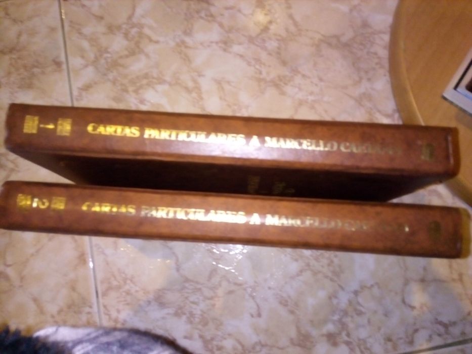 Livros "cartas a marcelo e mais"