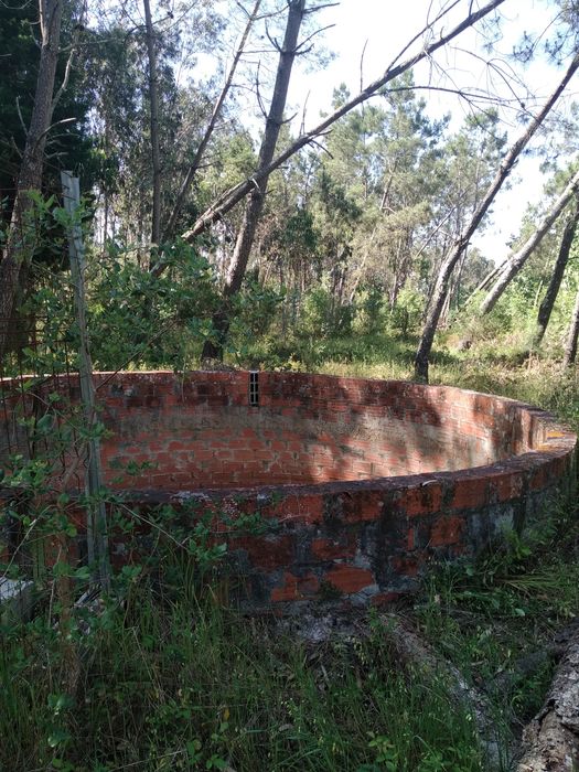 Terreno Rústico com 12 mil M2