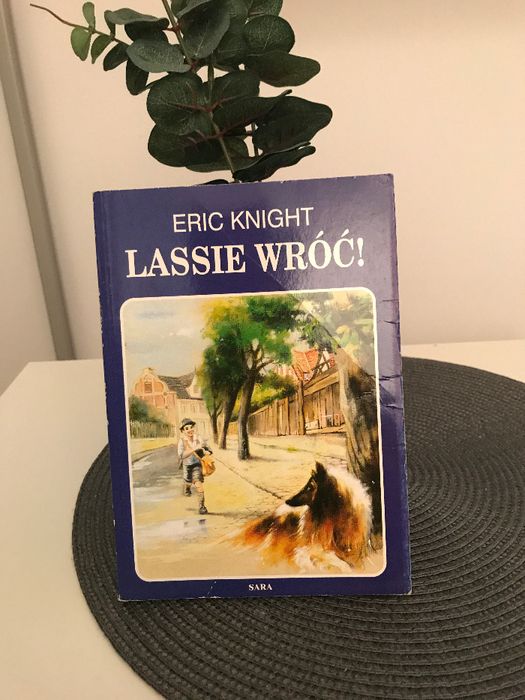 Lessie wróc