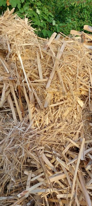 Тріска скалка тріски скалки для опалення чи щепи  віддам безкоштовно