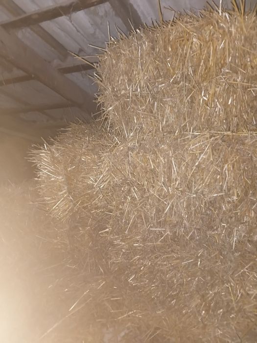 Продам солому в тюках