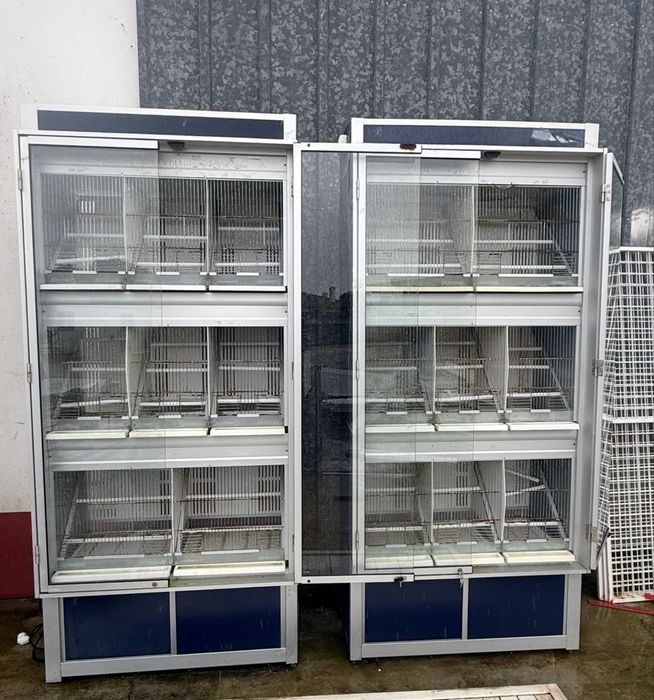 Bateria de Aves / Expositor para Exposições e Criação