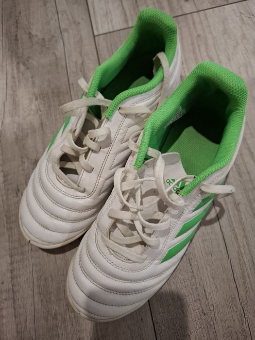 Buty Adidas Copa halówki