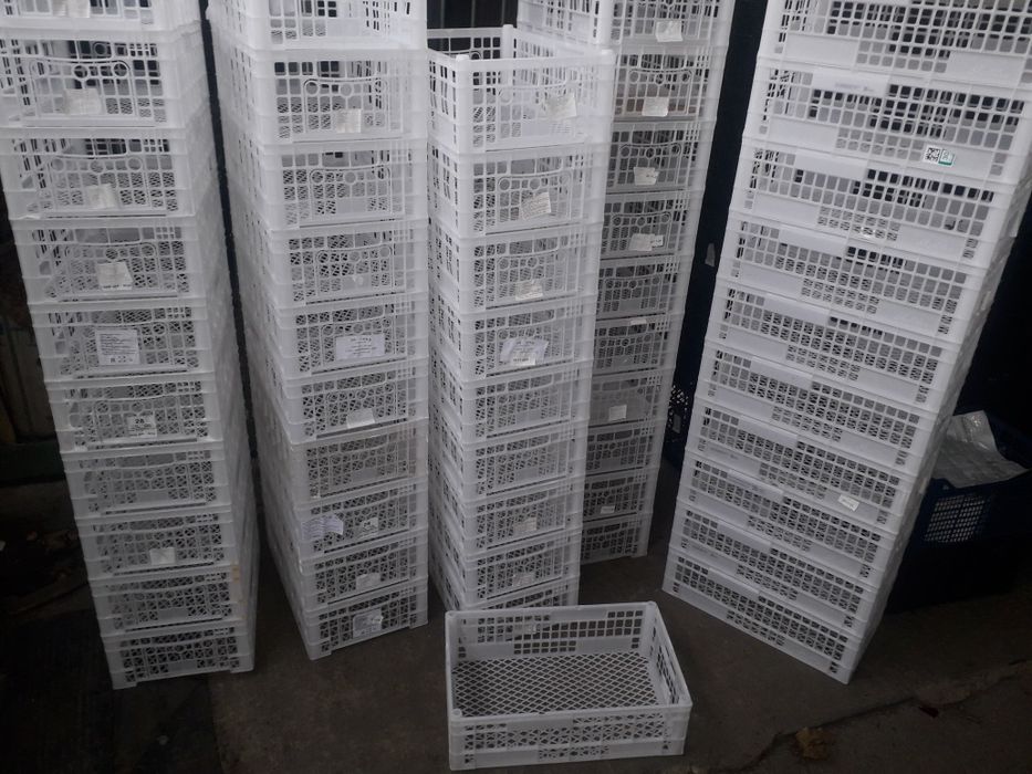 Ящики пластиковые пластмассовые овощные