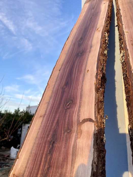 Nogueiro portugues. Pranchas de madeira.