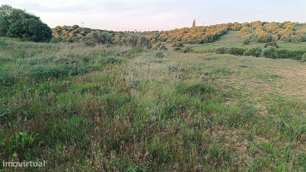 Terreno  para venda — Zibreira, Santarém