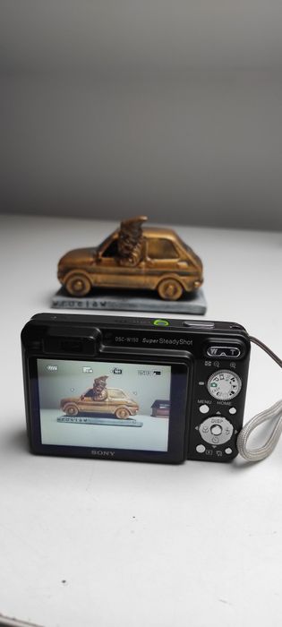 Aparat cyfrowy Sony Cyber-shot DSC-W150 8,1 mpx