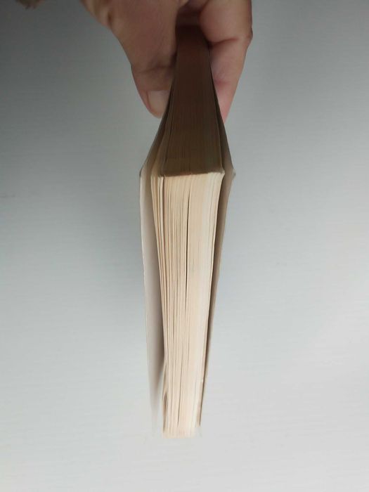 Livro "Portugal: Que Revolução?", Mário Soares, Diálogo com D. Pouchin