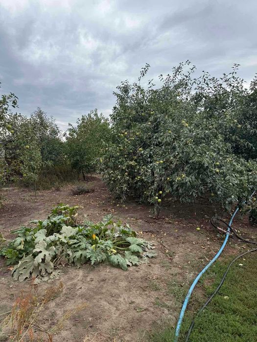 Продам капітальний будинок від власника