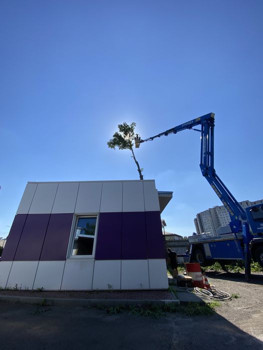 Удаление деревьев|Расчистка участка|Спил деревьев|Корчевание пней