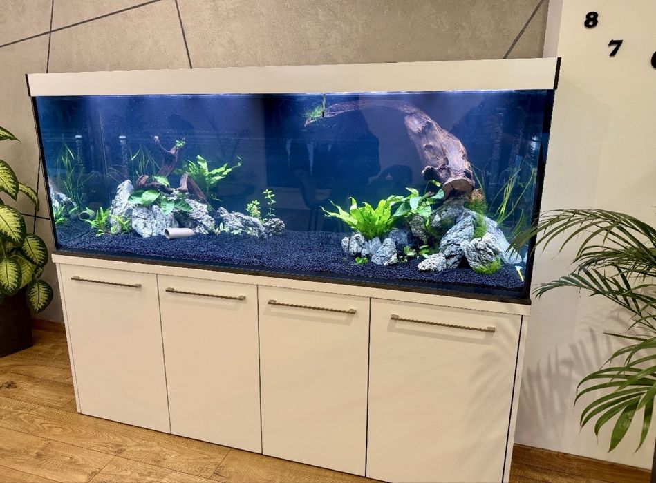 Akwaria- zakładanie, aranżacja oraz serwis akwarystyczny