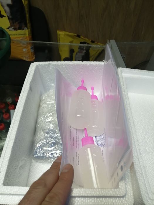 Сперма від Хряків  Пьетрен,Ландрас,Maxter 304