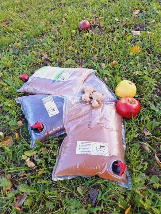 Tłoczenie owoców i warzyw na sok  SOK JABŁKOWY 100% NATURALNY