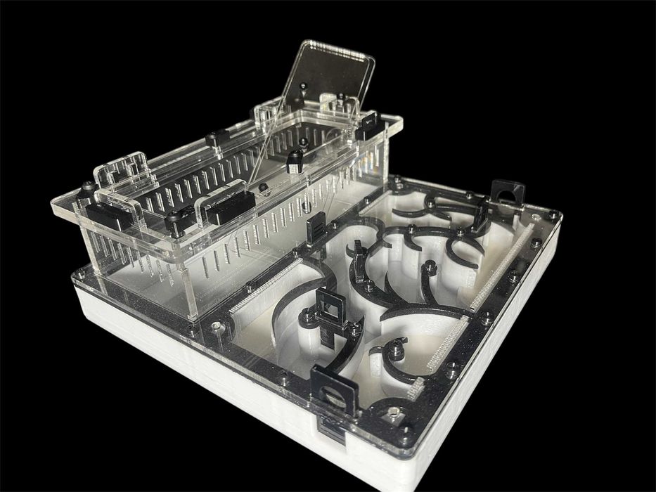 Купити мурашину ферму в Україні — формикарій з екзотичними мурахами