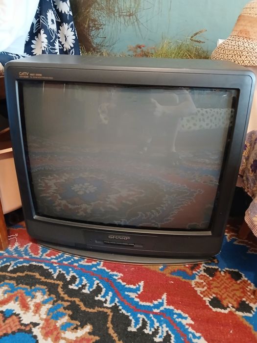 Телевизор Sharp 21H-SC