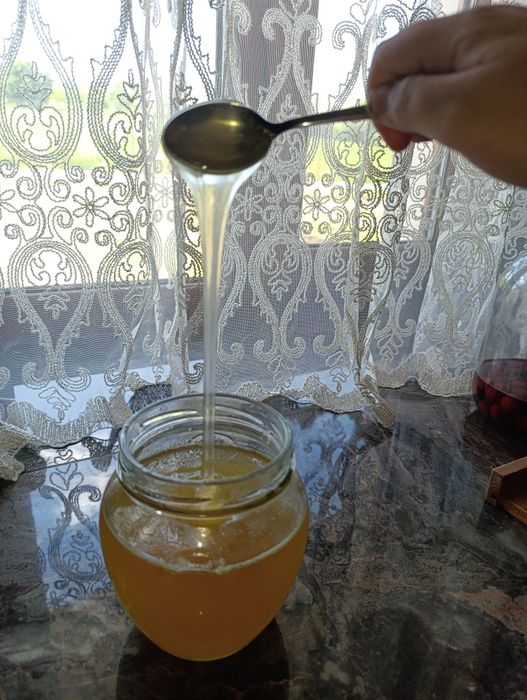 Продається весняний мед