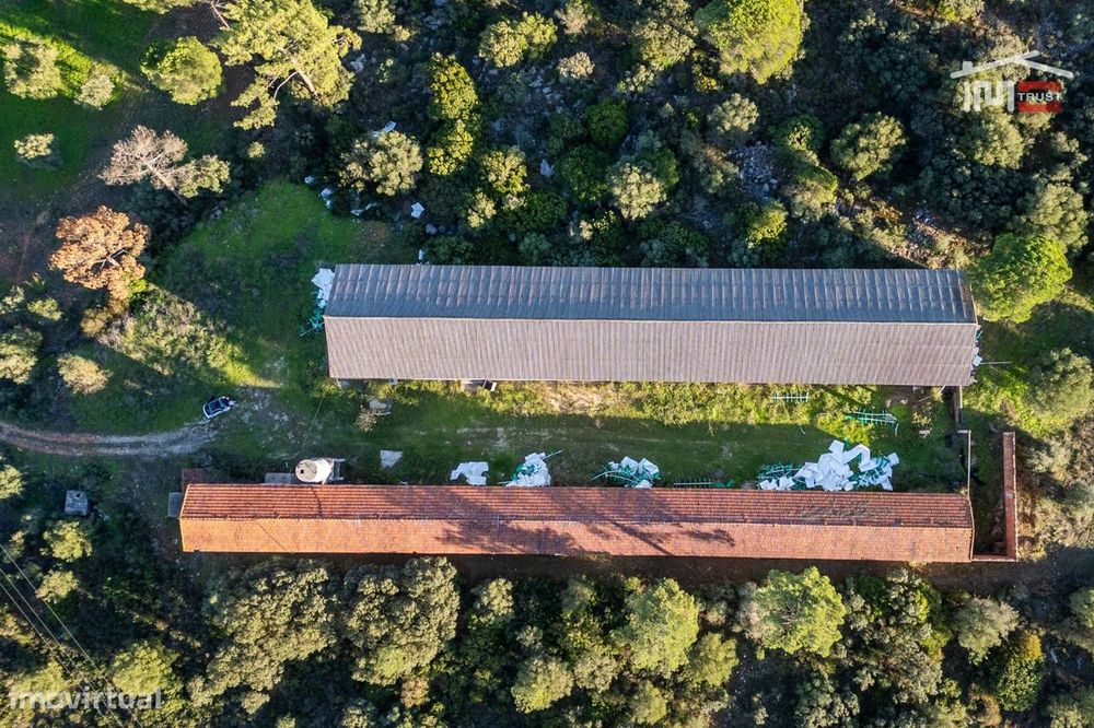 Investimento Como Alojamento Local Com Logradouro, Furo De Água (To...